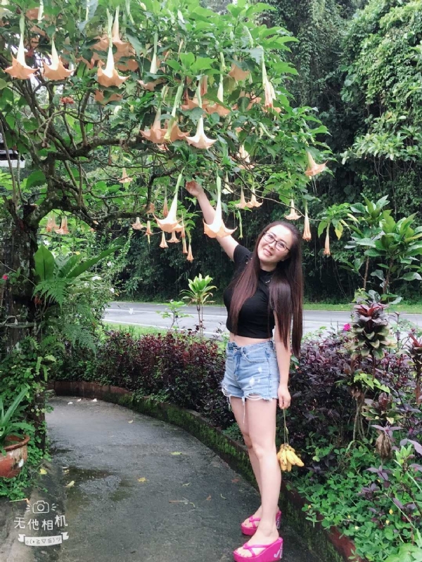 离异单身无子的第二张照片--南安交友网