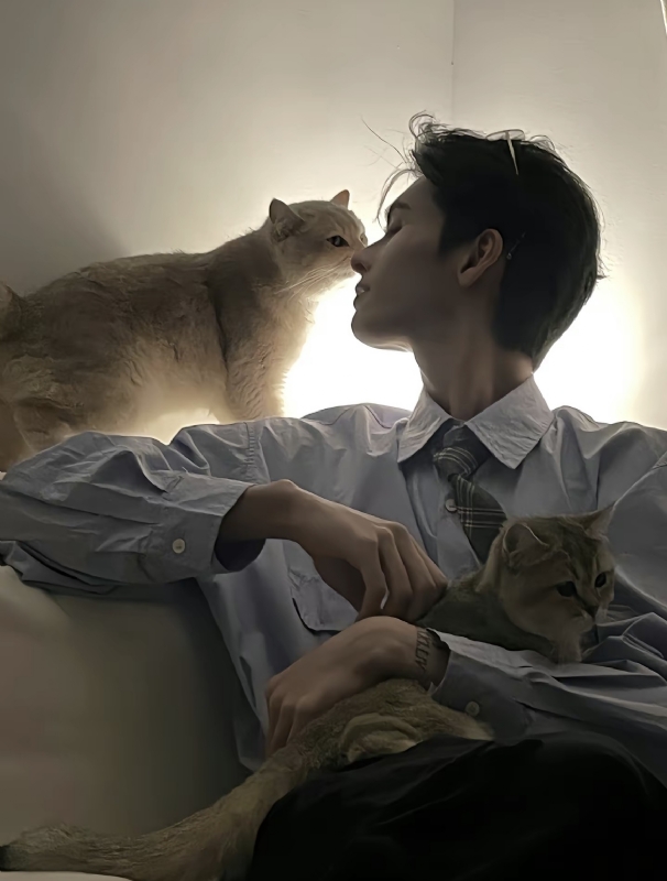 怪猫的第一张照片--南安交友网